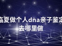 临夏做个人dna亲子鉴定去哪里做