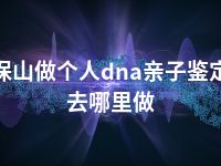 保山做个人dna亲子鉴定去哪里做