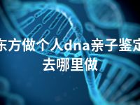 东方做个人dna亲子鉴定去哪里做