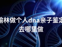 榆林做个人dna亲子鉴定去哪里做