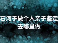 石河子做个人亲子鉴定去哪里做