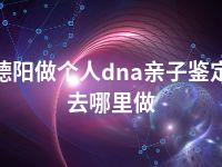 德阳做个人dna亲子鉴定去哪里做