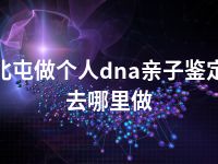 北屯做个人dna亲子鉴定去哪里做