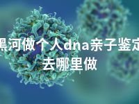 黑河做个人dna亲子鉴定去哪里做