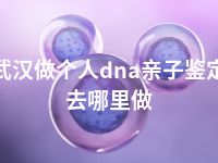 武汉做个人dna亲子鉴定去哪里做