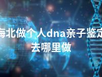 海北做个人dna亲子鉴定去哪里做