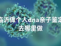 临沂做个人dna亲子鉴定去哪里做