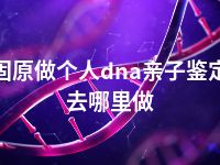 固原做个人dna亲子鉴定去哪里做