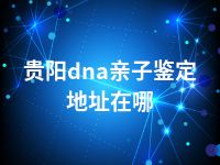 贵阳dna亲子鉴定地址在哪