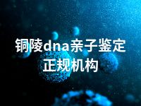 铜陵dna亲子鉴定正规机构