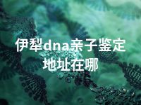 伊犁dna亲子鉴定地址在哪