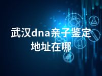 武汉dna亲子鉴定地址在哪