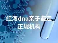 红河dna亲子鉴定正规机构