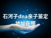 石河子dna亲子鉴定地址在哪