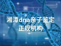 湘潭dna亲子鉴定正规机构