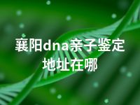 襄阳dna亲子鉴定地址在哪