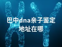 巴中dna亲子鉴定地址在哪