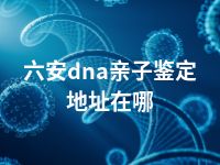 六安dna亲子鉴定地址在哪