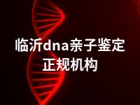 临沂dna亲子鉴定正规机构