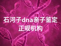 石河子dna亲子鉴定正规机构