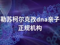 克孜勒苏柯尔克孜dna亲子鉴定正规机构