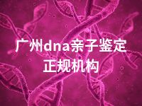 广州dna亲子鉴定正规机构