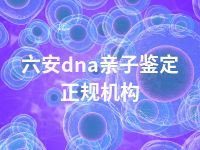 六安dna亲子鉴定正规机构