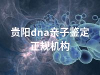 贵阳dna亲子鉴定正规机构