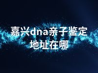 嘉兴dna亲子鉴定地址在哪