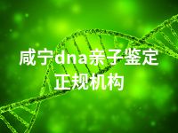 咸宁dna亲子鉴定正规机构