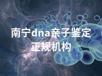 南宁dna亲子鉴定正规机构