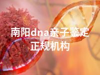 南阳dna亲子鉴定正规机构