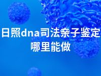 日照dna司法亲子鉴定哪里能做