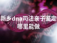 新乡dna司法亲子鉴定哪里能做