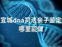 宣城dna司法亲子鉴定哪里能做