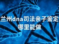 兰州dna司法亲子鉴定哪里能做