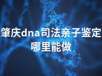 肇庆dna司法亲子鉴定哪里能做