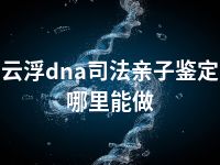 云浮dna司法亲子鉴定哪里能做