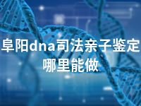 阜阳dna司法亲子鉴定哪里能做