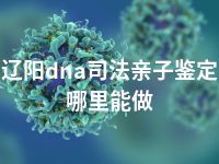 辽阳dna司法亲子鉴定哪里能做