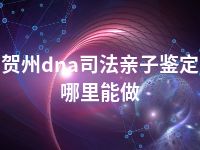 贺州dna司法亲子鉴定哪里能做