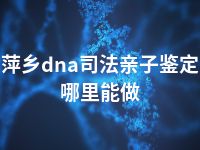 萍乡dna司法亲子鉴定哪里能做