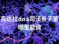 可克达拉dna司法亲子鉴定哪里能做