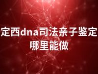 定西dna司法亲子鉴定哪里能做