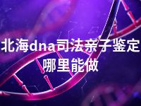 北海dna司法亲子鉴定哪里能做