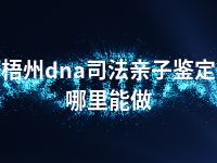 梧州dna司法亲子鉴定哪里能做