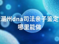 潮州dna司法亲子鉴定哪里能做