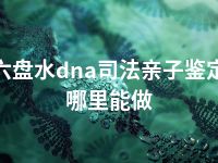 六盘水dna司法亲子鉴定哪里能做