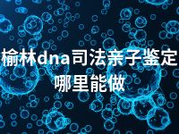 榆林dna司法亲子鉴定哪里能做