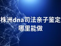 株洲dna司法亲子鉴定哪里能做